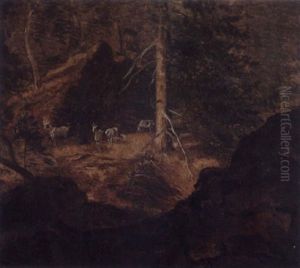 Geiter I Granskog Geiter I Granskog