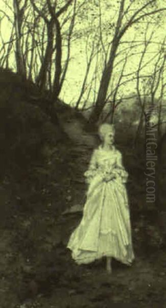 Walk In The Woods - view 1