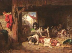 Chiens Au Chenil Apres La Chasse