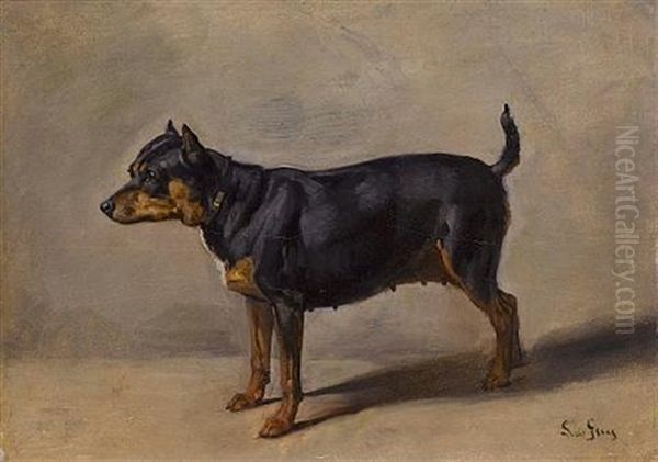 A Terrier - view 1