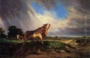 Il Torello Il Torello