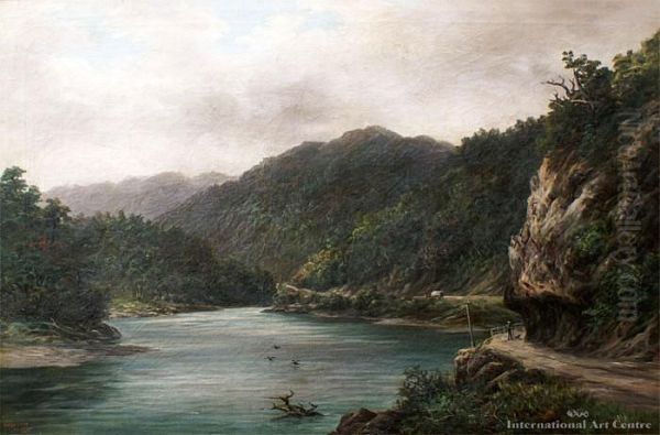 Buller Gorge - view 1
