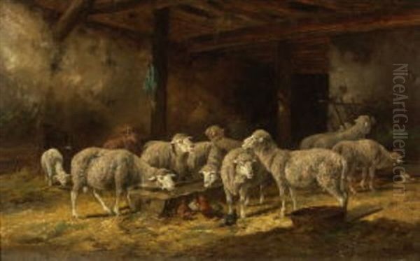 Schafe Und Huhner An Einer Futterkrippe Im Stall - view 1