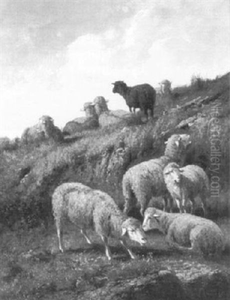 A Flock Of Sheep On The Hillside - view 1
