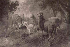Sheep In A Forest Sheep In A Forest