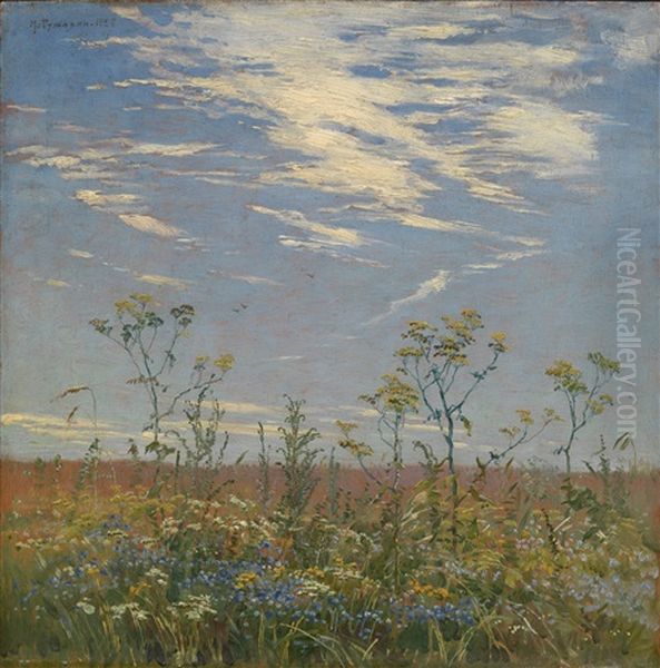 Wild Flowers In A Field - view 1