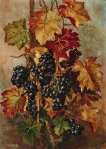 Sudliche Trauben by Hermine Haader