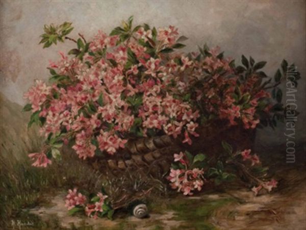 Alpenrose Von Der Rax - view 1