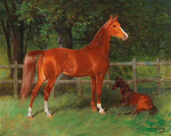 Chestnut With Foal In The Meadow - view 1