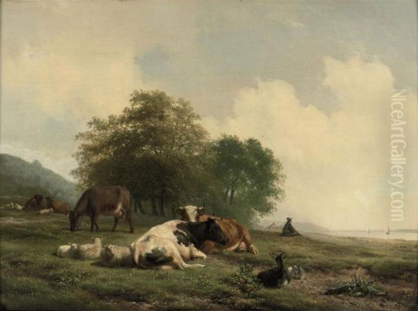 Cattle Resting On The River Bank - view 1