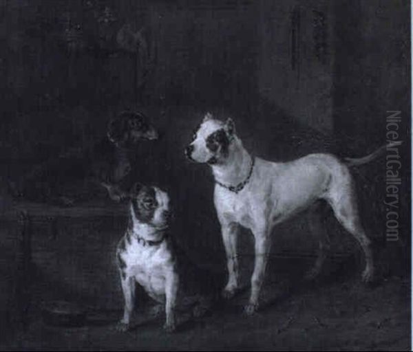 Drei Hunde - view 1