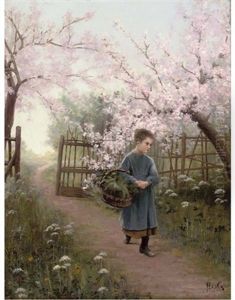 A Walk Along The Orchard Path