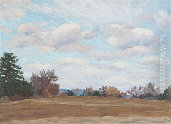 Braunes Feld Mit Baumen - view 1