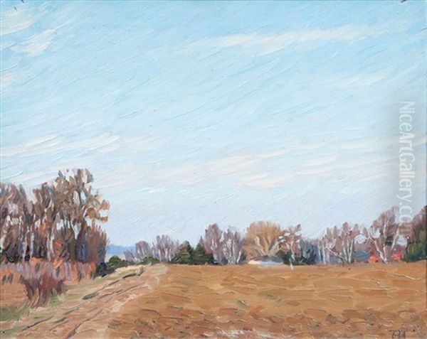 Braunes Feld Unter Blauem Himmel - view 1