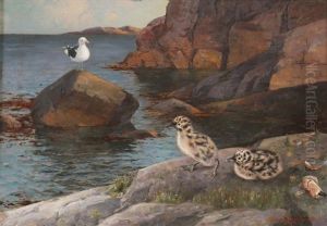 Maagunger by Lauritz Haaland
