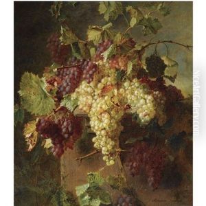 A Still Life With Grapes A Still Life With Grapes