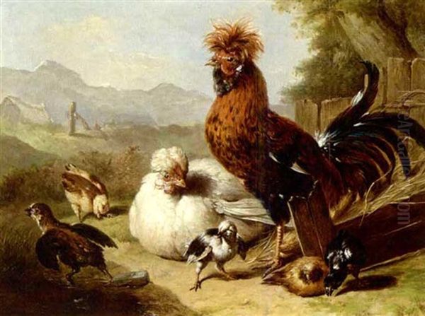 The Rooster's Family - view 1