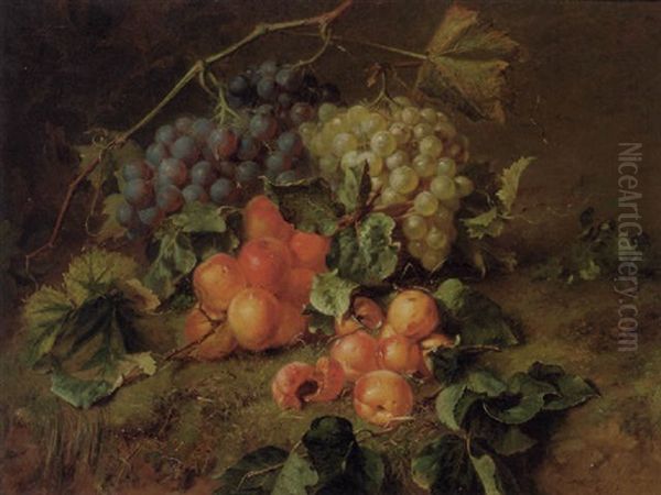 A Still Life With Grapes And Apricots - view 1