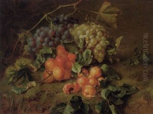 A Still Life With Grapes And Apricots by Adriana Johanna Haanen