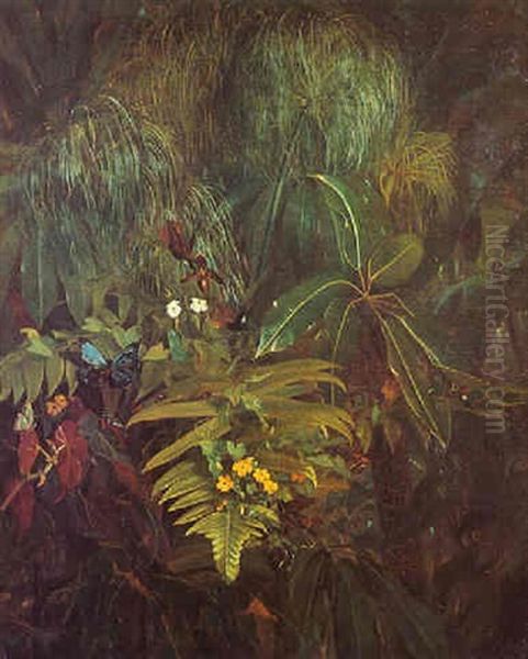 Hummingbirds And Butterflies In A Tropical Vegetation - view 1
