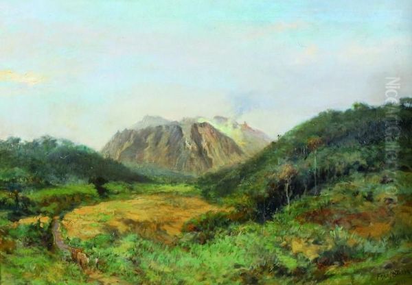 Landschap Bijsibajak. Op De Voorgrond Een Zandweg, Waarop Een Figuur Met Enkelekarbouwen, In De Achtergrond Een Vulkaan - view 1