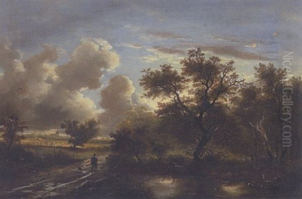 Baumlandschaft Im Abendlicht - view 1