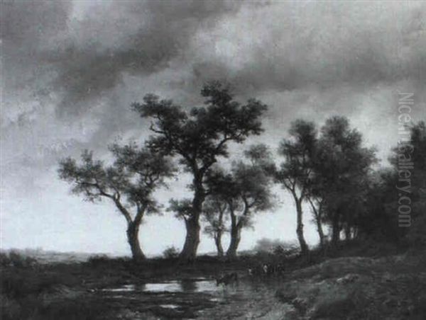 Waldlandschaft - view 1