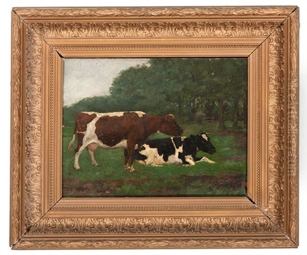 Cattle In Pasture - view 1