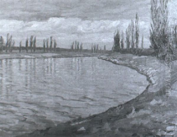 Am Altrhein - view 1