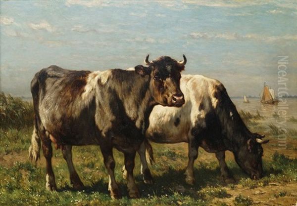 Cattle In A Water Meadow - view 1