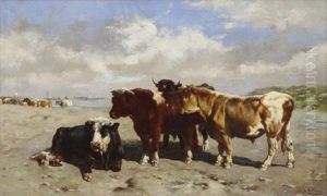 Cattle On The Shore