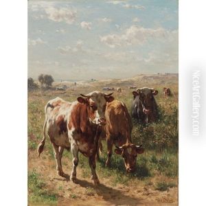 Cattle In Plaid
