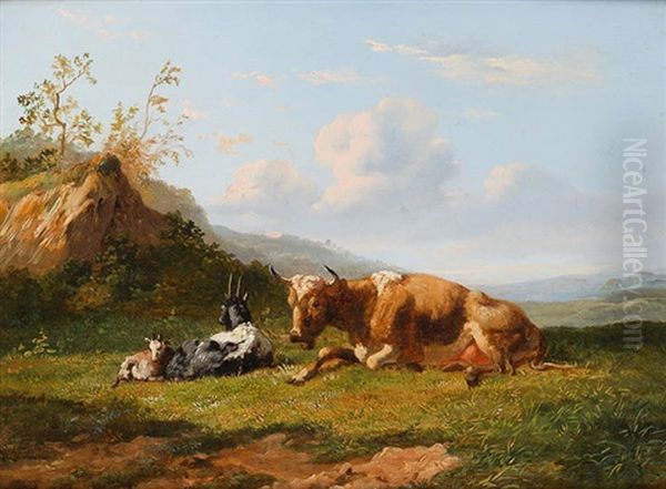 Kuh Mit Zwei Ziegen In Weiter Landschaft - view 1