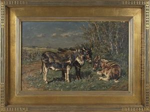 Landscape With Burros
