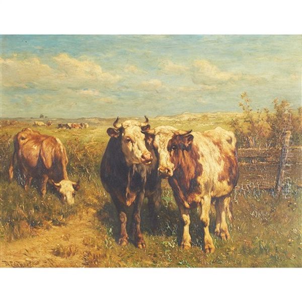 Cows In A Sunlit Field - view 1