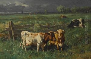 Weidende Kuhe Bei Aufziehendem Gewitter