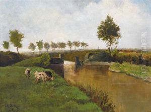 Sommerliche Kanalpartie Mit Weidenden Kuhen Sommerliche Kanalpartie Mit Weidenden Kuhen