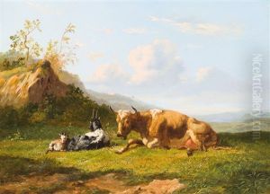 Kuh Und Ziegen Auf Der Weide Kuh Und Ziegen Auf Der Weide