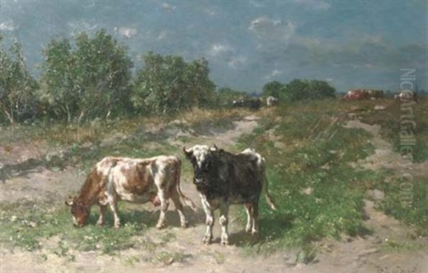 Cattle Grazing In The Dunes - view 1