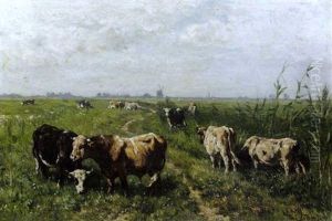 Polderlandschap Met Grazende Koeien