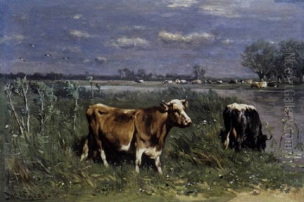 Koeien Aan De Oever - view 1