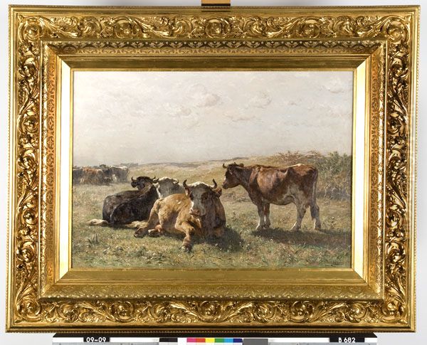 Cows In A Meadow - view 1