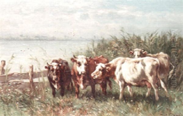 Grazing Cows - view 1