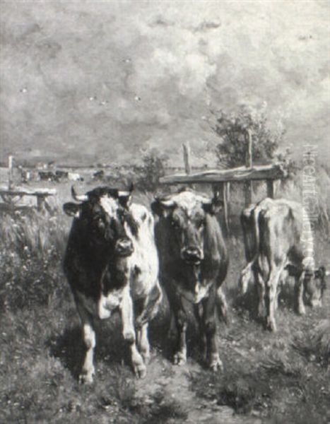 Cattle In Summer Pastures - view 1
