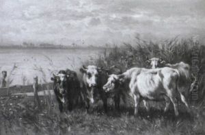Hollandische Kustenlandschaft Im Hochsommer