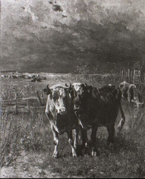 Kuhe Auf Der Weide - view 1
