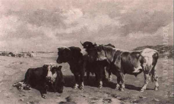 Cattle In A Seaside Pasture - view 1