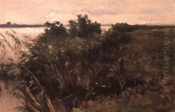 Kustenlandschaft - view 1