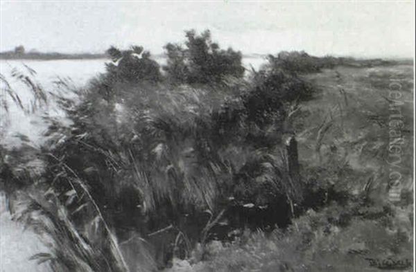 Flussufer - view 1