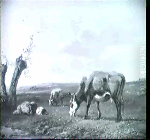 Kuhe Und Schafe Auf Der Weide - view 1